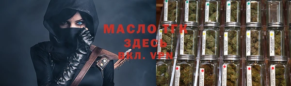 индика Зерноград