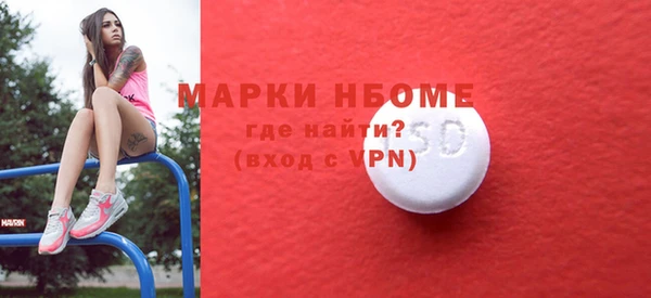 индика Зерноград