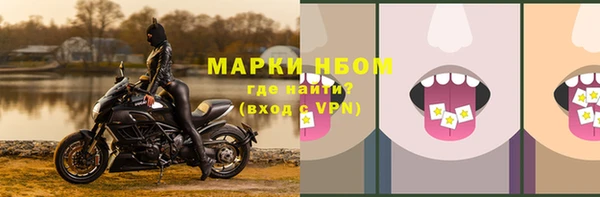 ECSTASY Зеленокумск