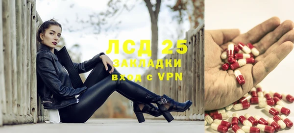 ПСИЛОЦИБИНОВЫЕ ГРИБЫ Иннополис